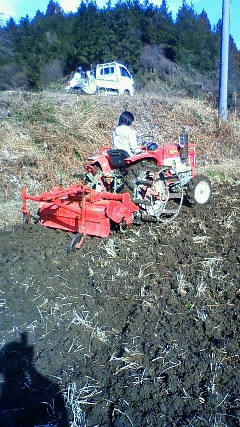 c0017505_11204117.jpg