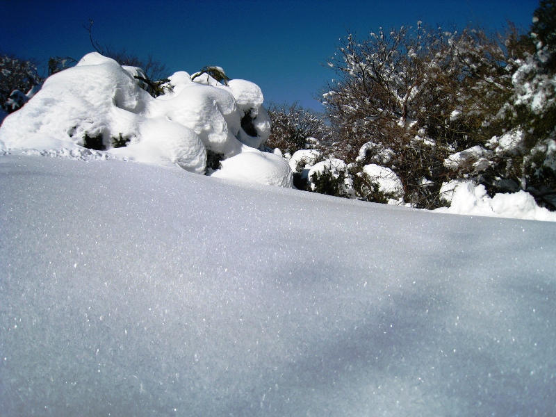 a0097006_8521259.jpg
