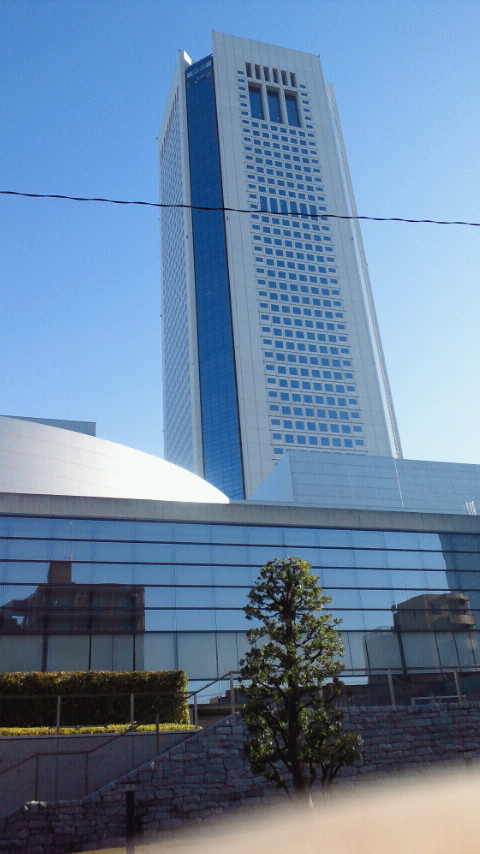a0148408_9224292.jpg