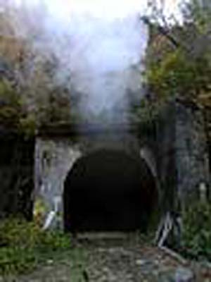 e0103408_1549815.jpg