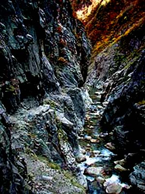 e0103408_1635362.jpg