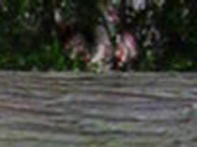 e0103408_20193255.jpg