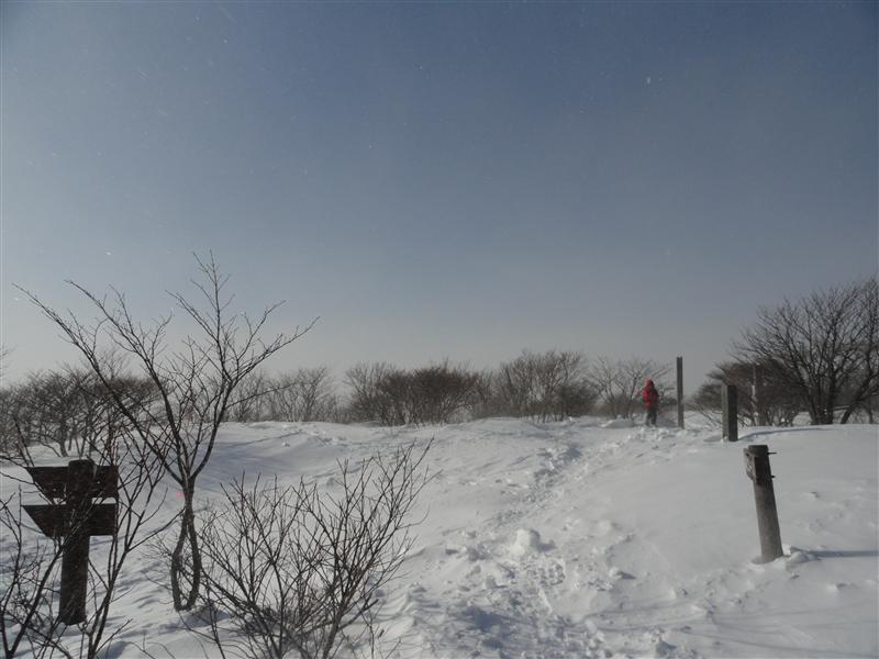 a0127015_1110339.jpg