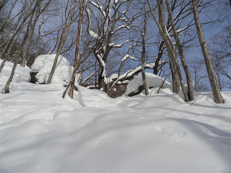 a0127015_1162533.jpg