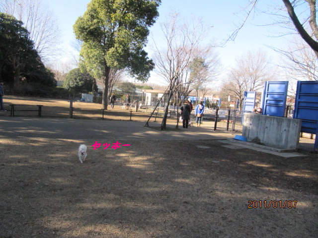 c0200916_05463.jpg