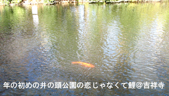 f0207325_22411145.jpg