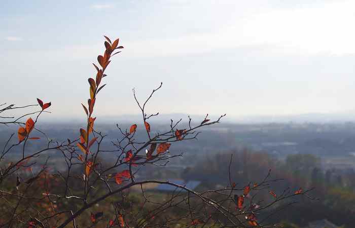 f0214527_22252872.jpg