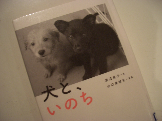 「犬と、いのち」_f0098338_19533431.jpg