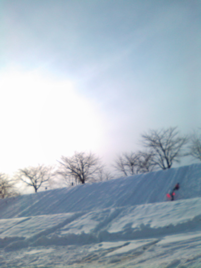 d0155148_2011719.jpg