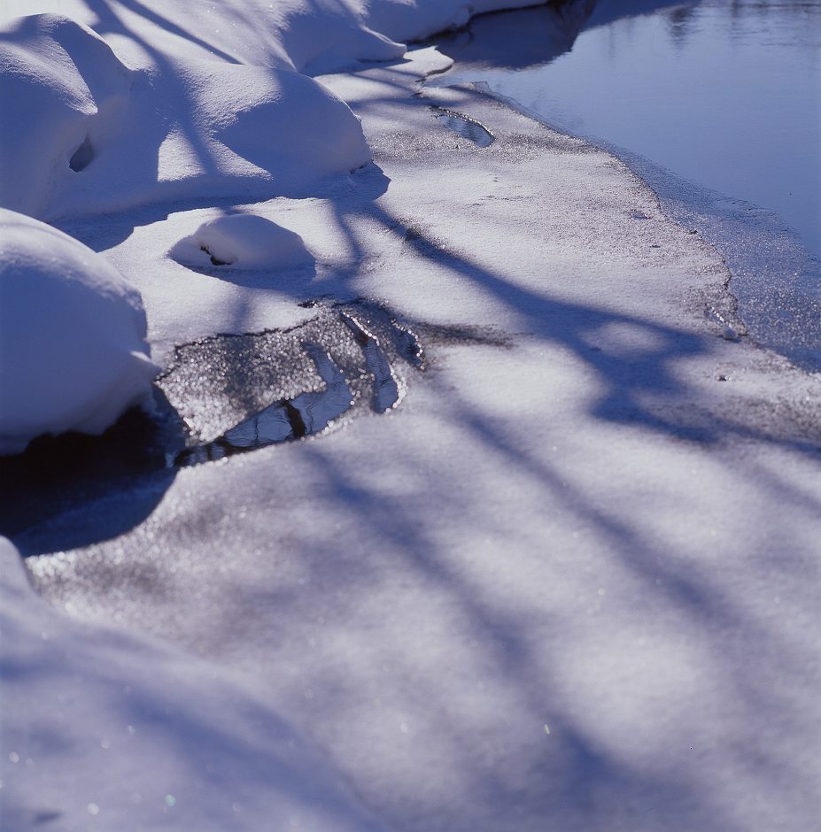 雪の谷内坊主・・・_f0169053_12472222.jpg