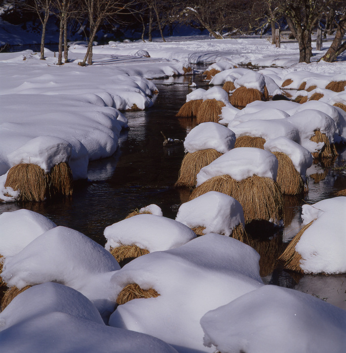 雪の谷内坊主・・・_f0169053_12473132.jpg