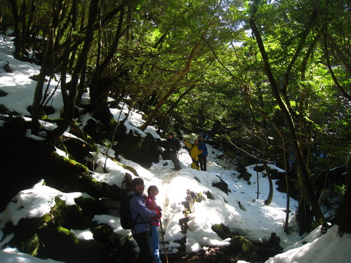 b0160957_18009.jpg