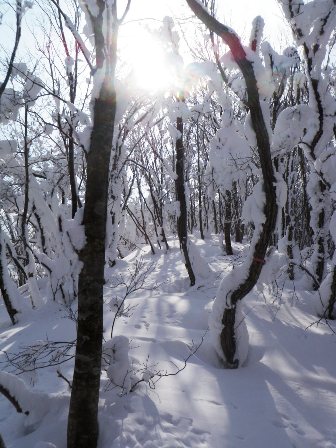 稲積山（1.143m）鳥取県、多里　スキー登山_d0007657_18184431.jpg