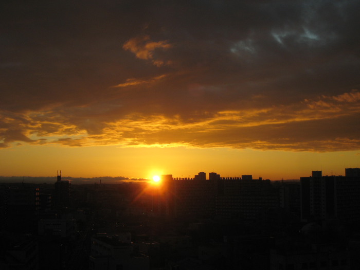 f0148762_22315789.jpg