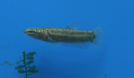 a0162263_19452657.jpg
