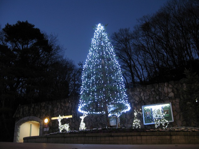 a0188771_18133489.jpg