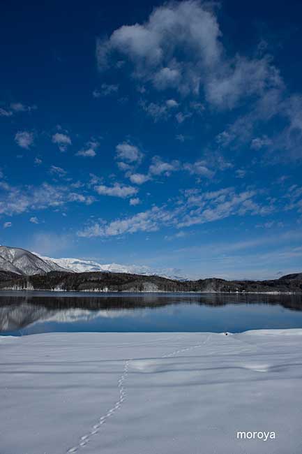 冬晴れ_c0085877_7111916.jpg