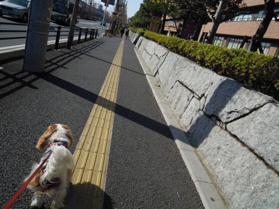 d0044986_22132455.jpg