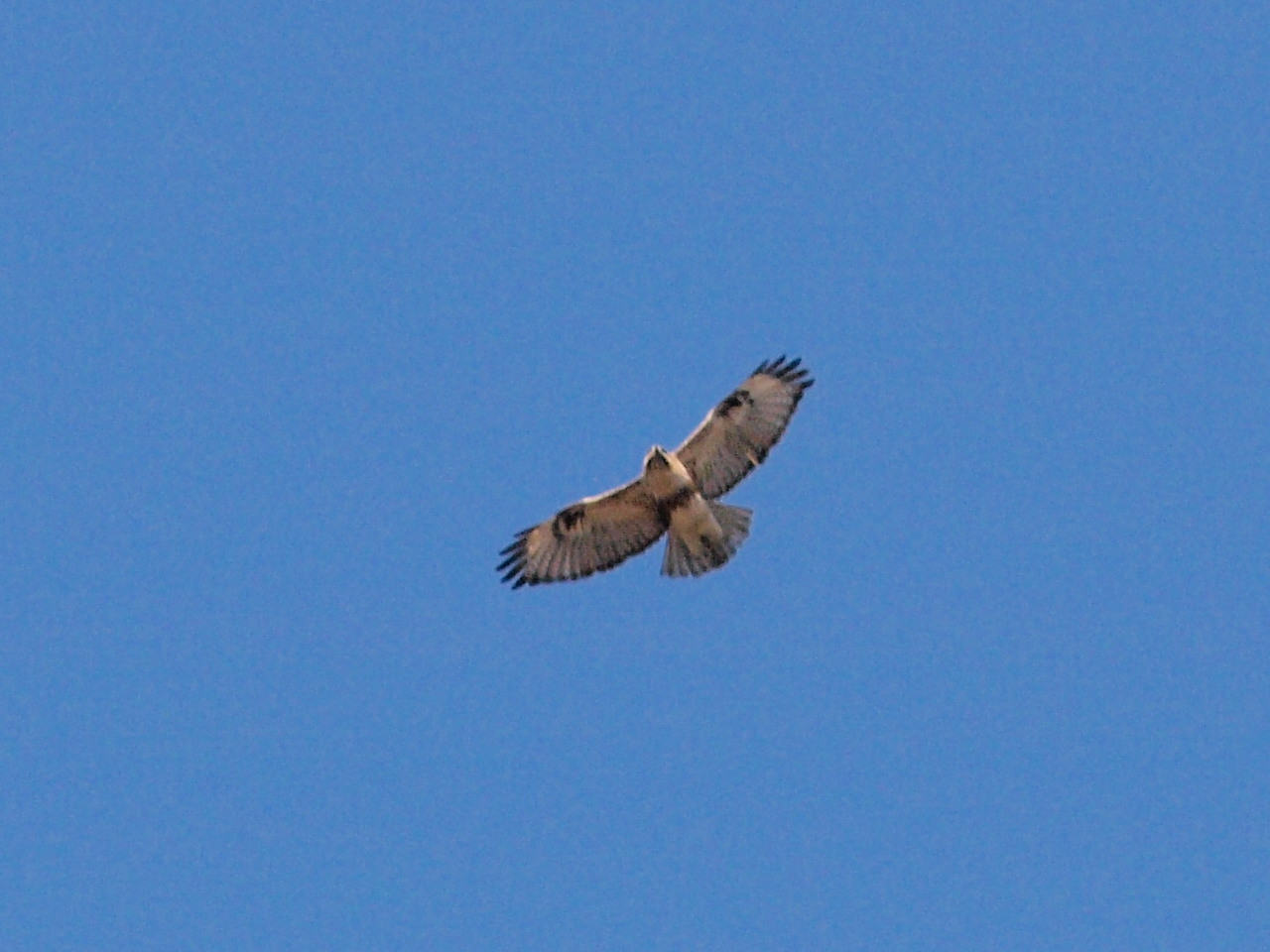 e0123889_21124535.jpg