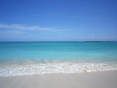 f0220791_12494514.jpg