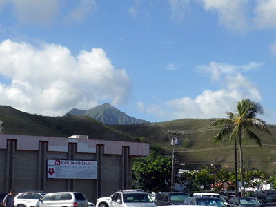 f0220791_1482831.jpg