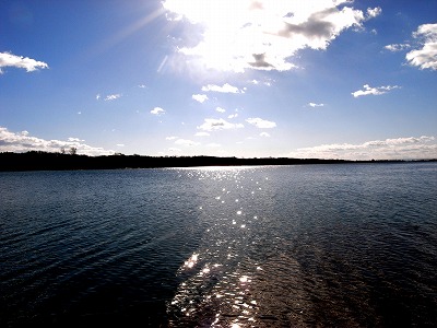 d0166900_1594598.jpg