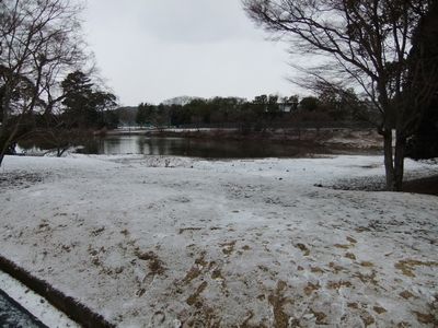 東大寺二月堂への道をゆっくりと散歩_f0120102_15194112.jpg