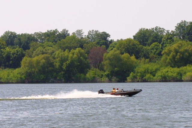 c0062603_5494764.jpg