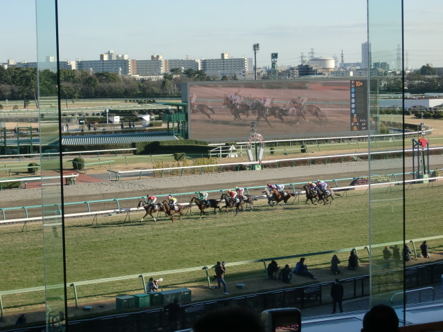 中山競馬場・ロイヤルボックス_f0033003_20331620.jpg