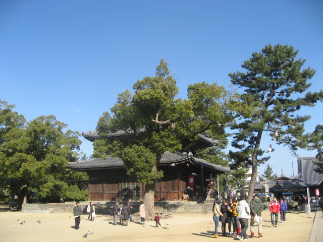 a0100706_2112834.jpg