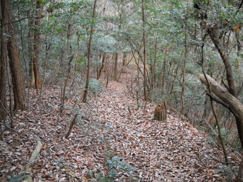 b0000209_20325182.jpg