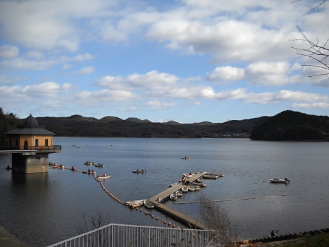 b0000209_20461827.jpg