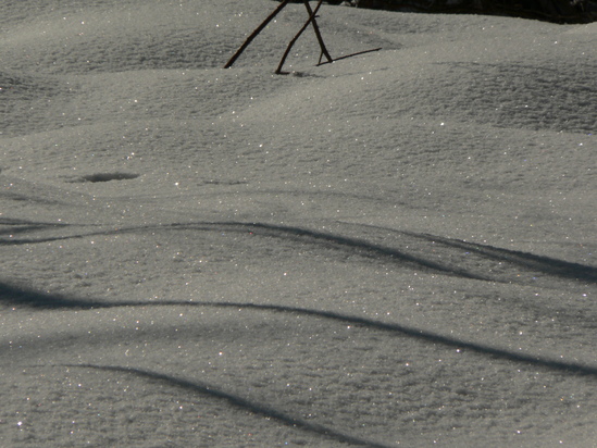 f0219710_736256.jpg