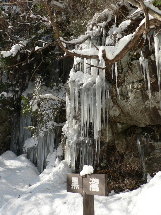 f0219710_7473669.jpg