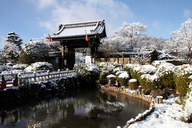 雪景色 妙満寺_e0048413_17553275.jpg
