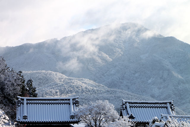 雪景色 妙満寺_e0048413_17572392.jpg