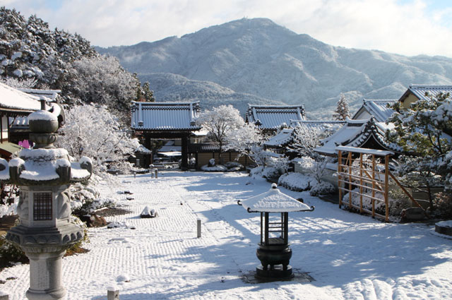 雪景色 妙満寺_e0048413_175774.jpg