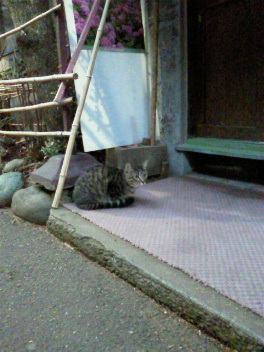 1月14日は池袋ホットペッパーへお越しください!_f0178313_14583178.jpg
