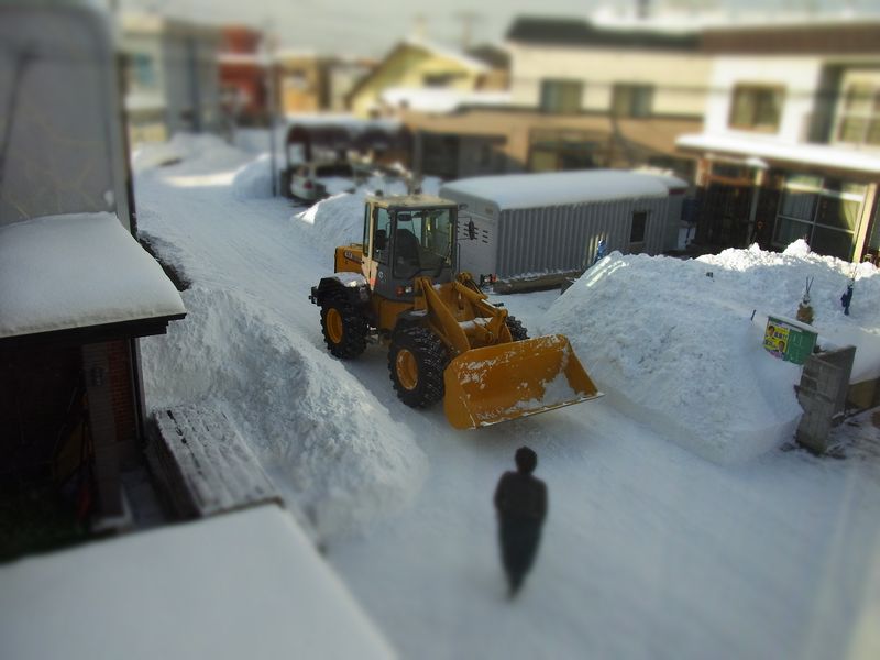 1月10日 成人の日および110番の日_c0025115_21511156.jpg