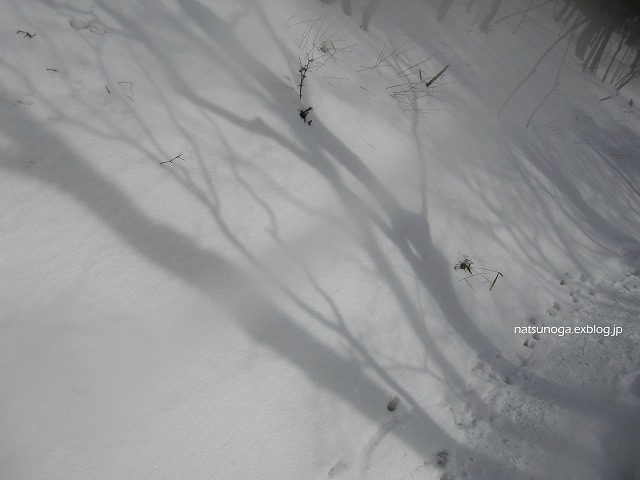 b0141916_19331754.jpg