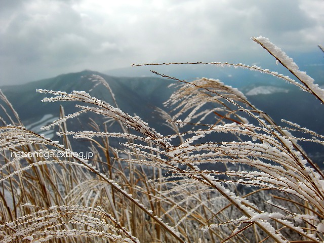b0141916_19352087.jpg