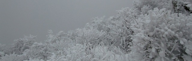 b0141916_2013512.jpg