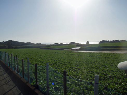 b0117718_11585719.jpg