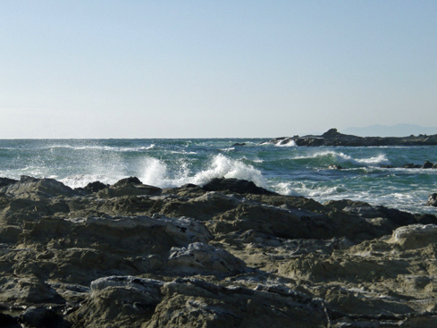 b0117718_1159636.jpg