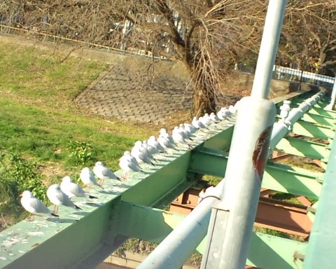c0089719_17593622.jpg