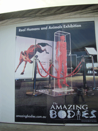 f0232522_22245550.gif