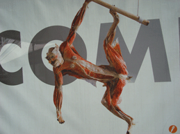 f0232522_22272810.gif