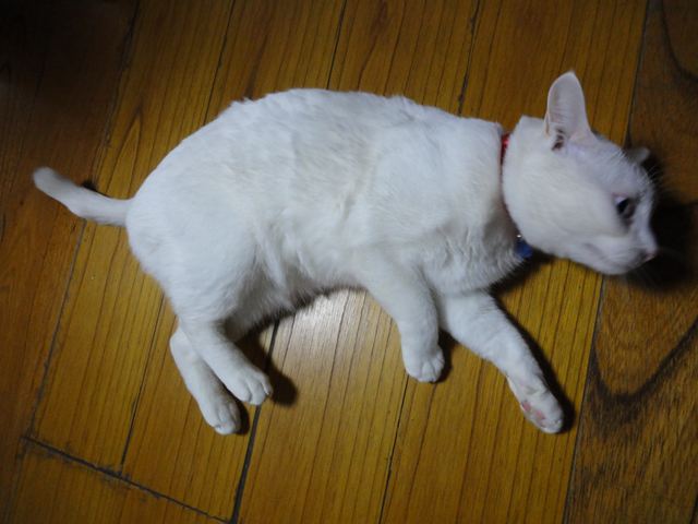 b0207724_2219625.jpg