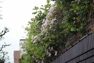 f0170524_12111589.jpg