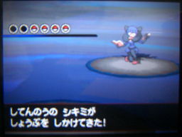 ポケットモンスターブラック縛りプレイ（四天王戦）_a0120525_0284985.jpg